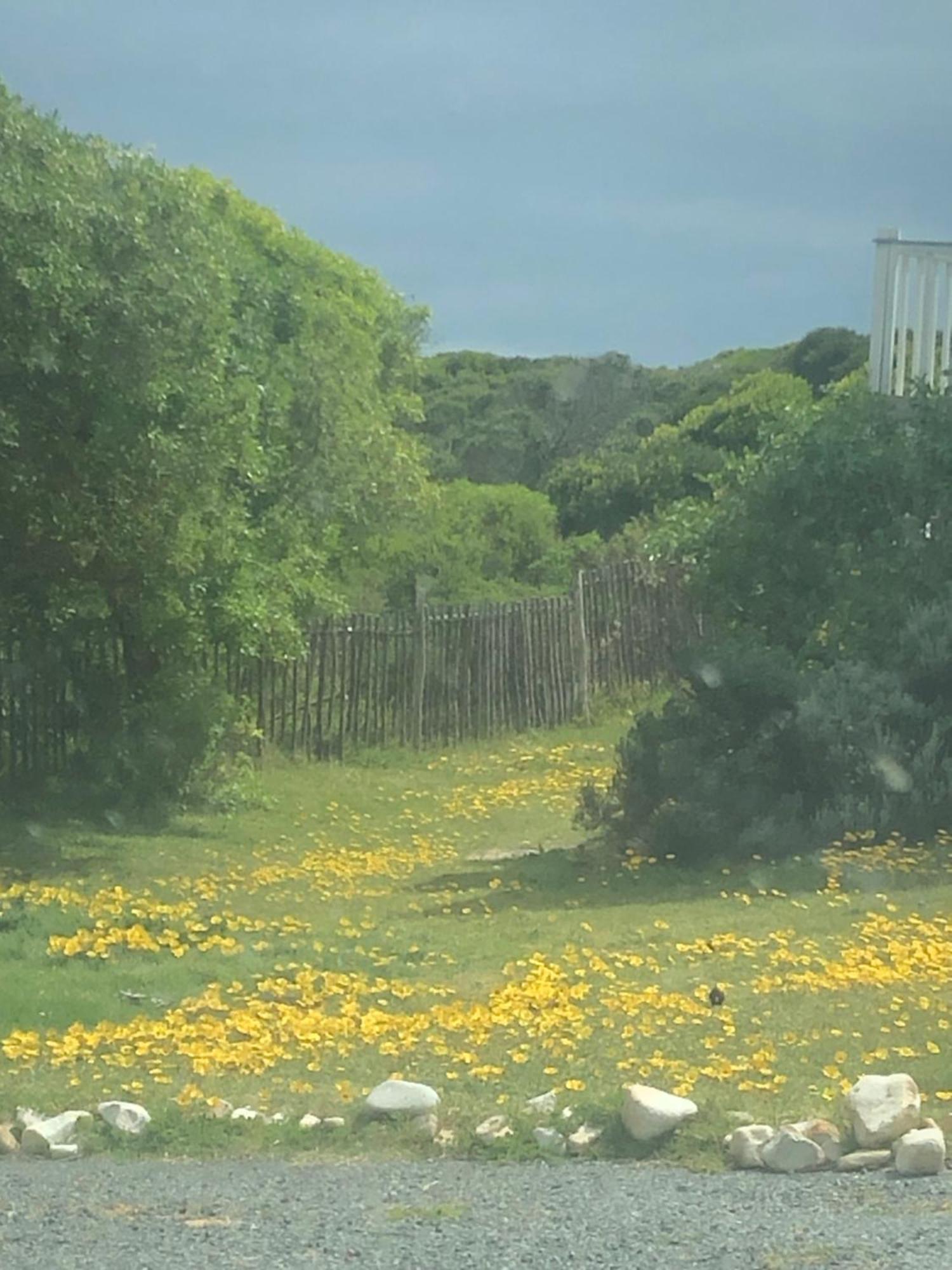 Paradise@Pearly بيرلي بيتش المظهر الخارجي الصورة